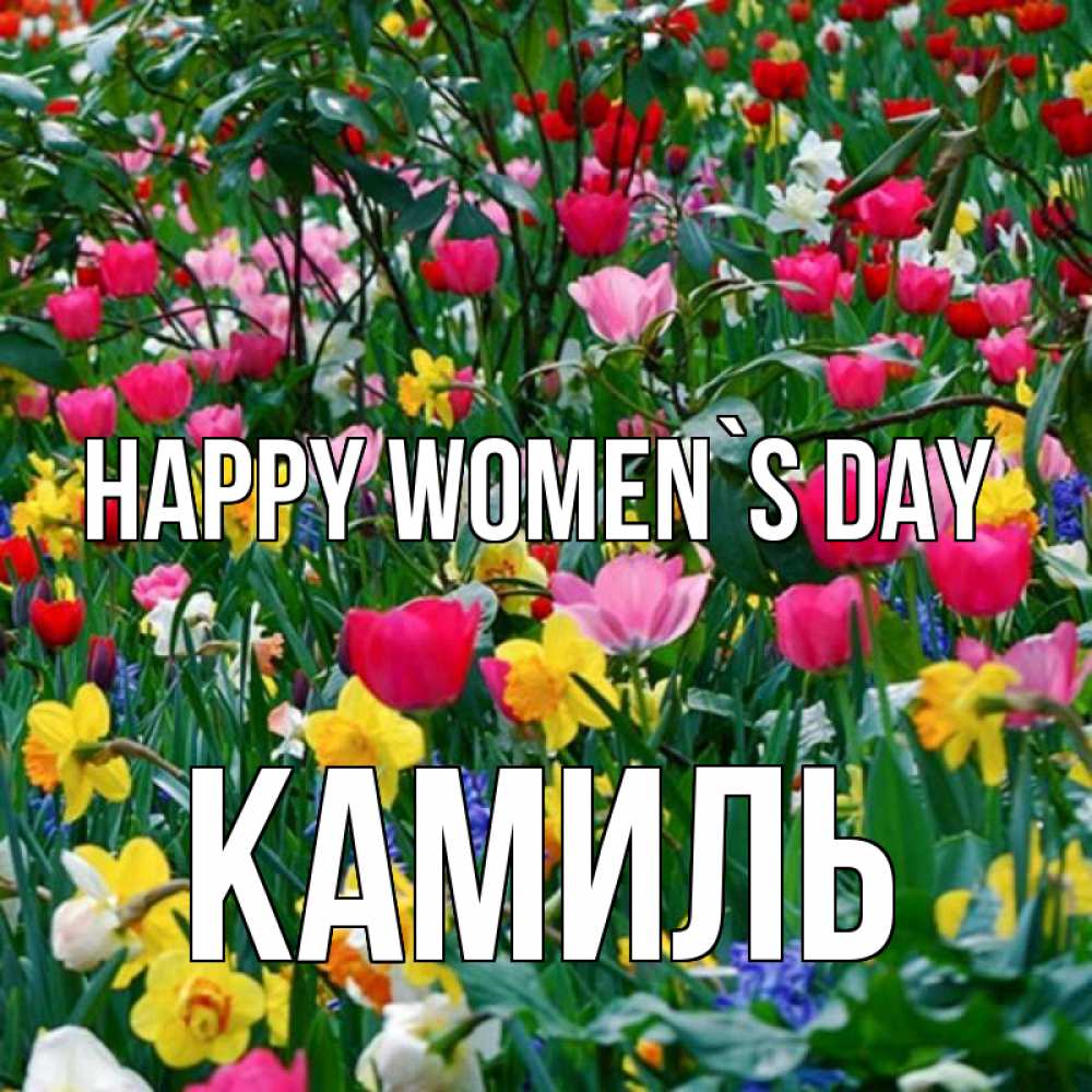 Greetings card с именем, Камиль happy women`s day с международным женским днем поздравления для женщины Greetings with text for free download 